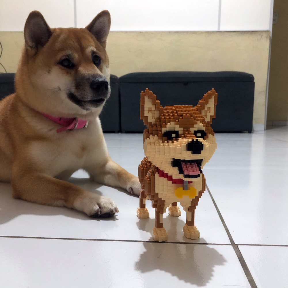 KNEW BUILT Shiba Inu Dogs Mode - đánh giá và giá Kids Education Recreation
